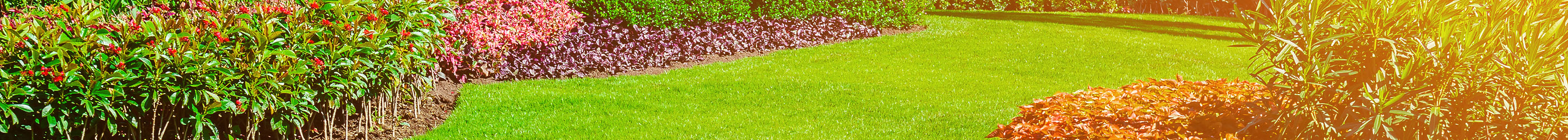 Beautiful Lawn by Miller Lawn Maintenance
