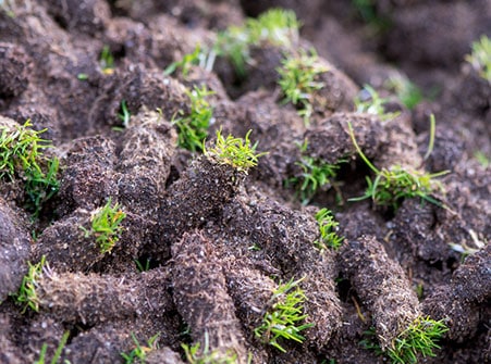 Aeration Services Noblesville IN