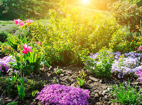 Weeding Service Noblesville Area