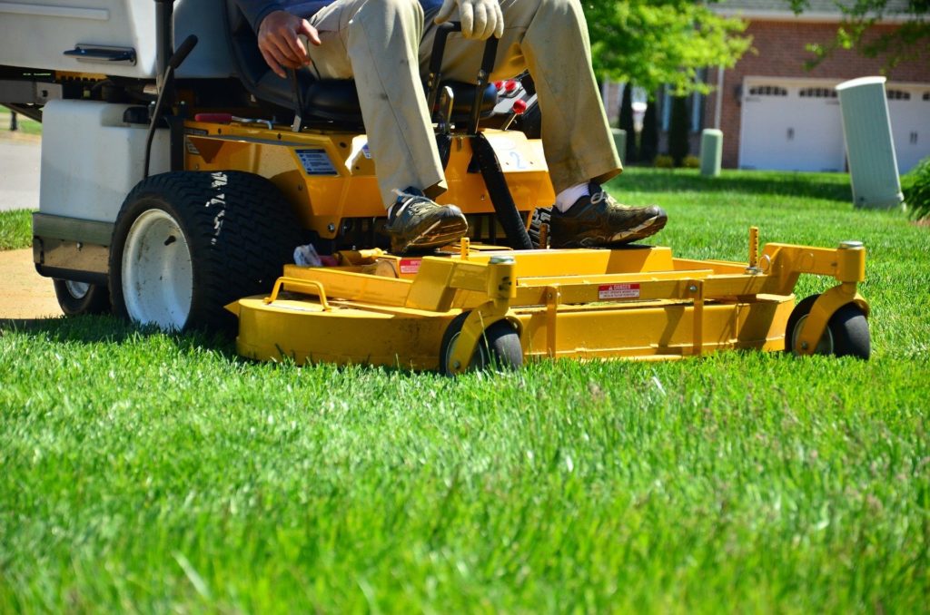 4 Steps to a Perfectly Manicured Lawn