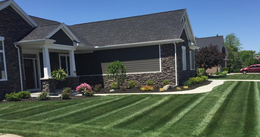 3 Ways We Maintain Your Lawn Each Summer