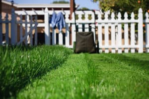 4 Lawn Mowing Tips That Will Give You Maximum Results