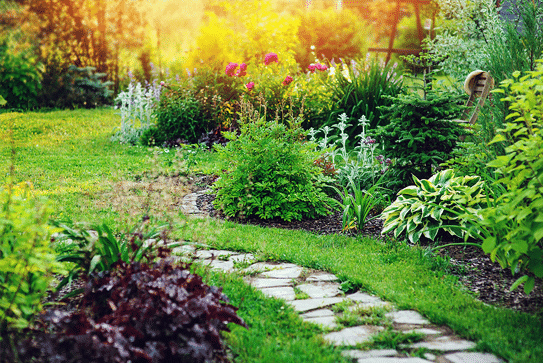 Flower bed cleaning services in Noblesville, IN.