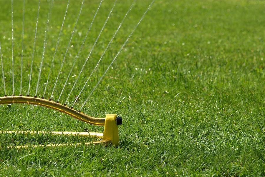 4 Lawn Care Maintenance Tips for the Summer Season