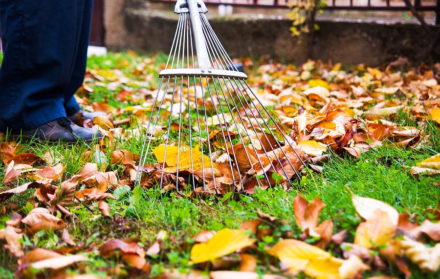 A Step-by-Step Guide to Fall Landscape Maintenance