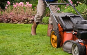 3 Times You Should Not Mow Your Lawn