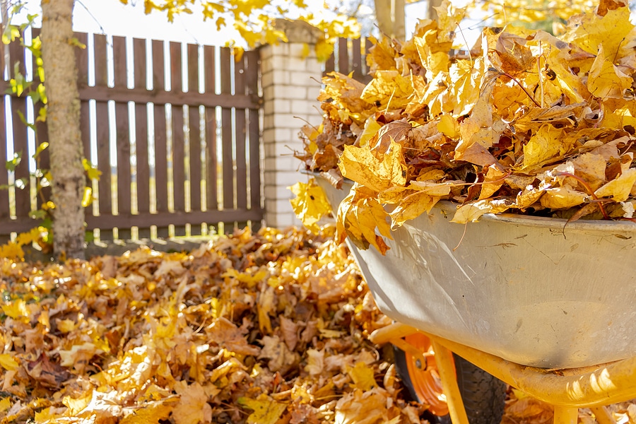 Why It's Important to Clean Up Your Yard Each Fall