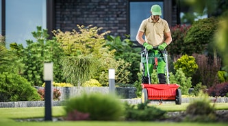 Lawn fertilization and lawn weed control