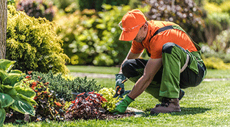 Professional landscaping services