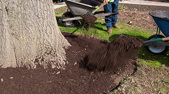 Mulching landscaping services