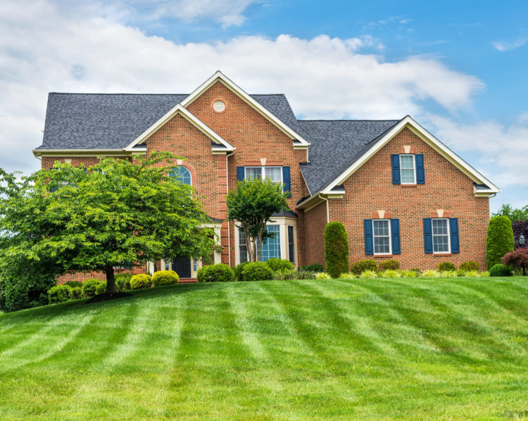 Lawn aeration and overseeding company in Noblesville, IN.