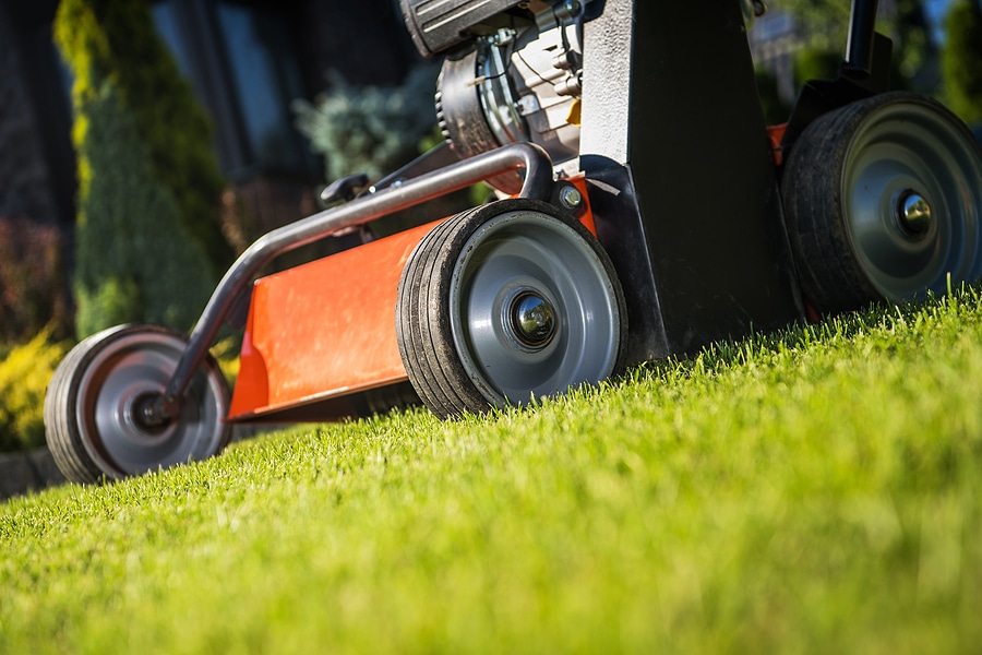 8 Benefits of Professional Lawn Aeration Services
