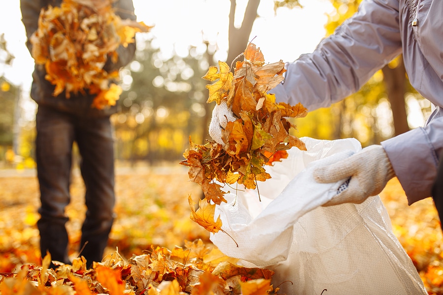 6 Benefits of Professional Leaf Removal in the Fall