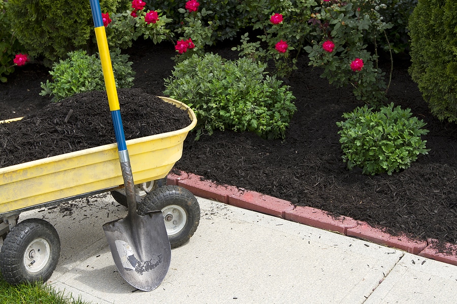 The Importance of Putting Down Fresh Mulch Each Year