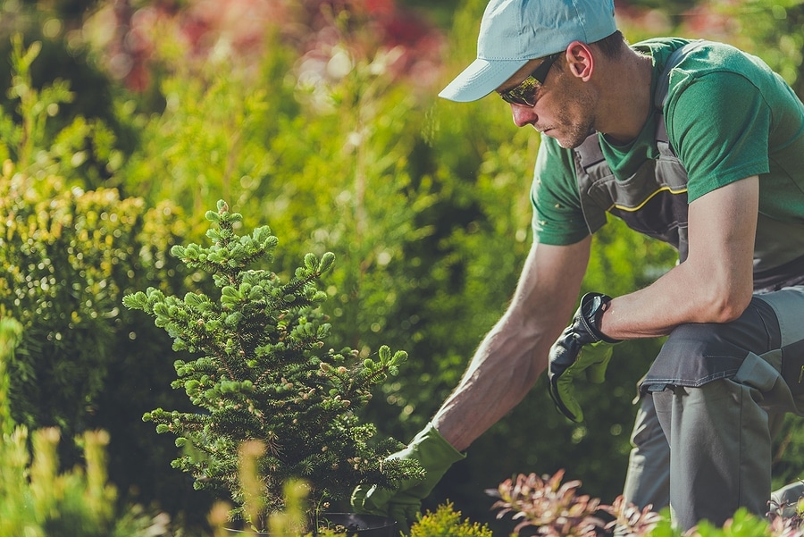 6 Benefits of Professional Landscaping