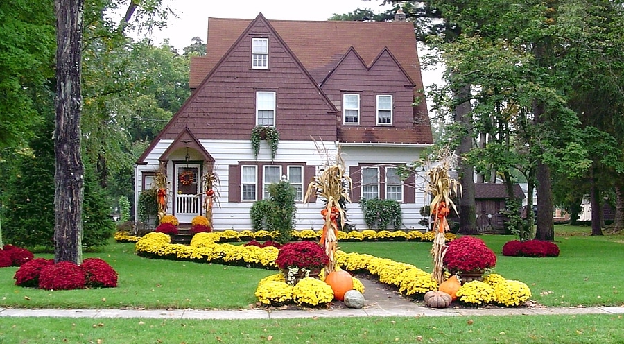 4 Best Plants to Add to Your Indiana Garden in Late Summer