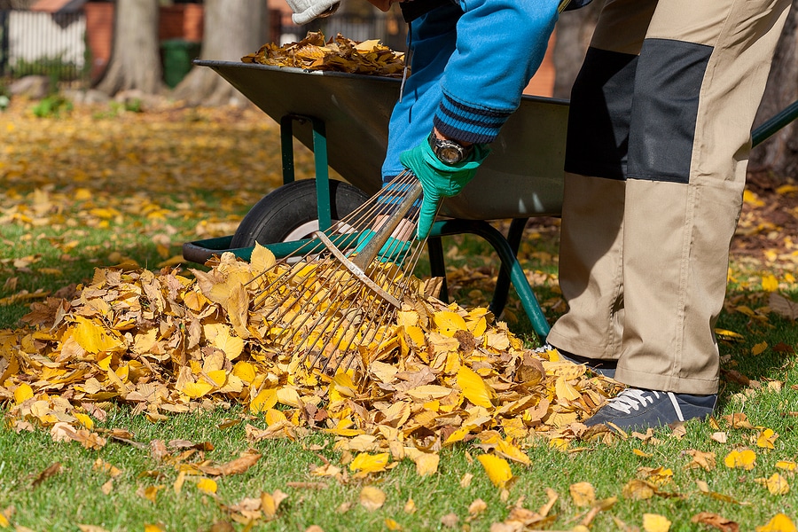 Get Your Yard Ready for Winter with Our Fall Cleanup Services