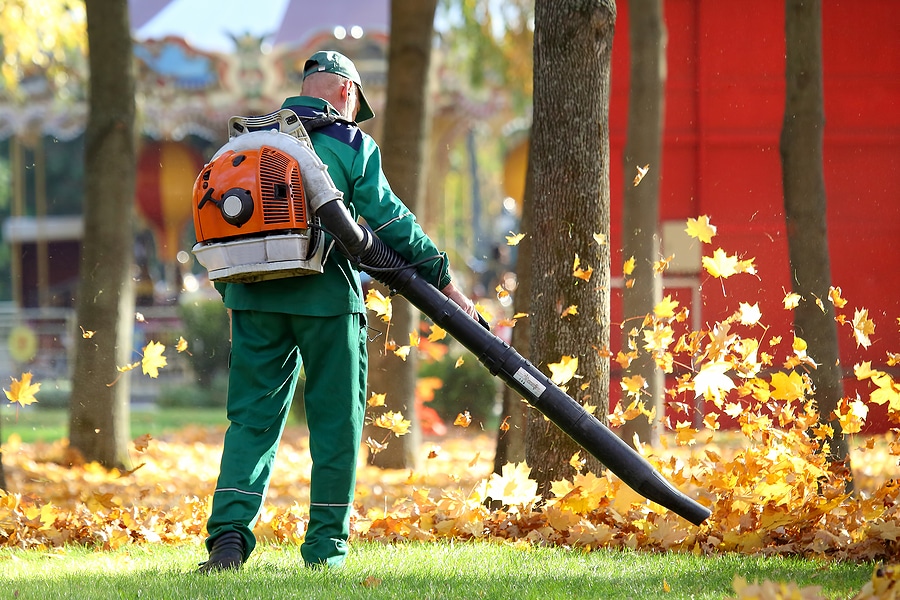 3 Reasons to Hire a Professional for Fall Yard Cleanup