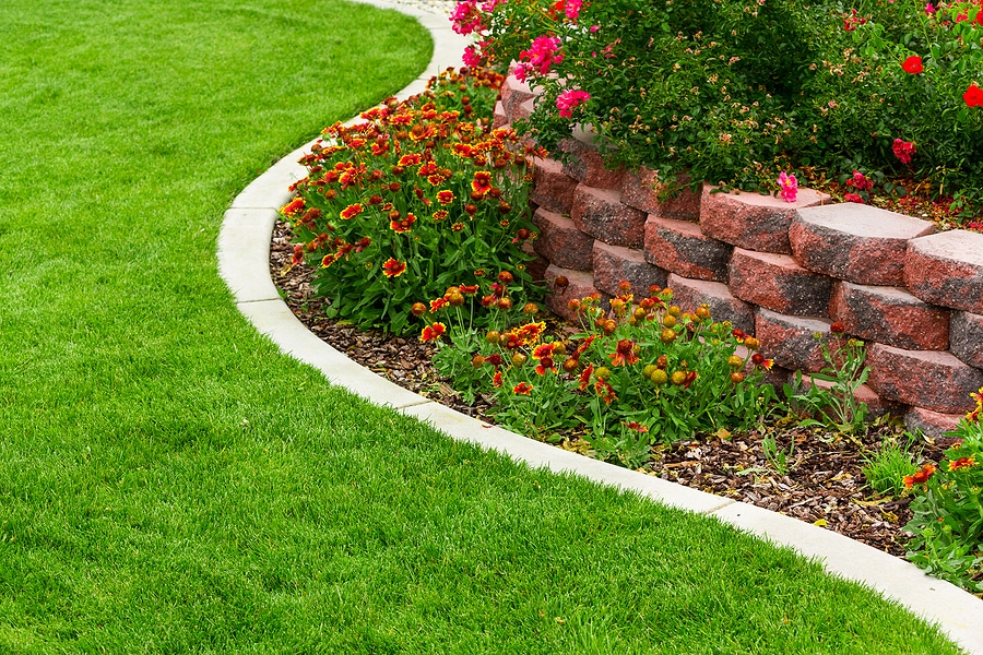 Transform Your Yard with Expert Landscape Design