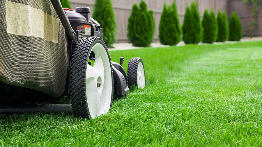 Why Routine Mowing and Lawn Care Matter