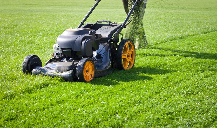 How Often Should You Mow Your Lawn?