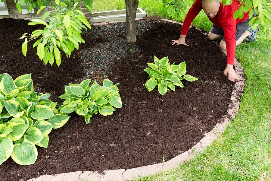 Why Professional Mulch Installation Makes a Big Difference