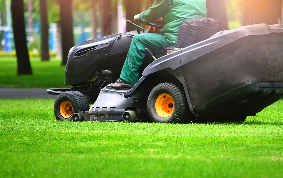 The Difference Between Basic Mowing and Full Lawn Care