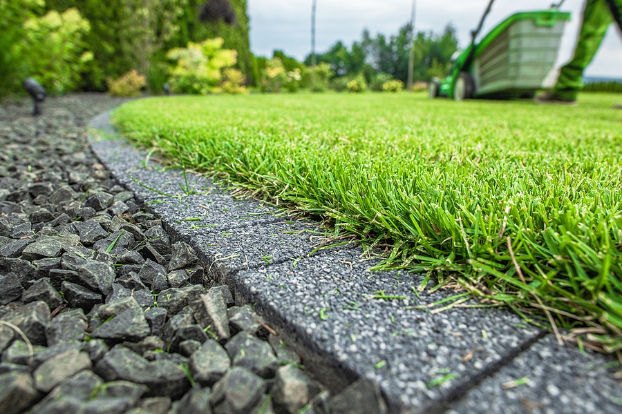 What Happens When You Cut Your Grass Too Short?