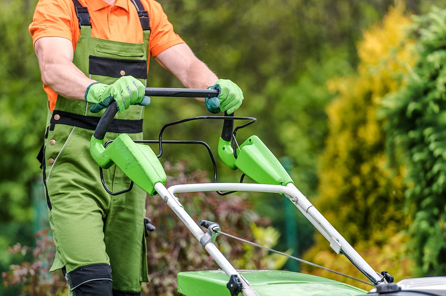 What Does Full-Service Lawn Care Include?