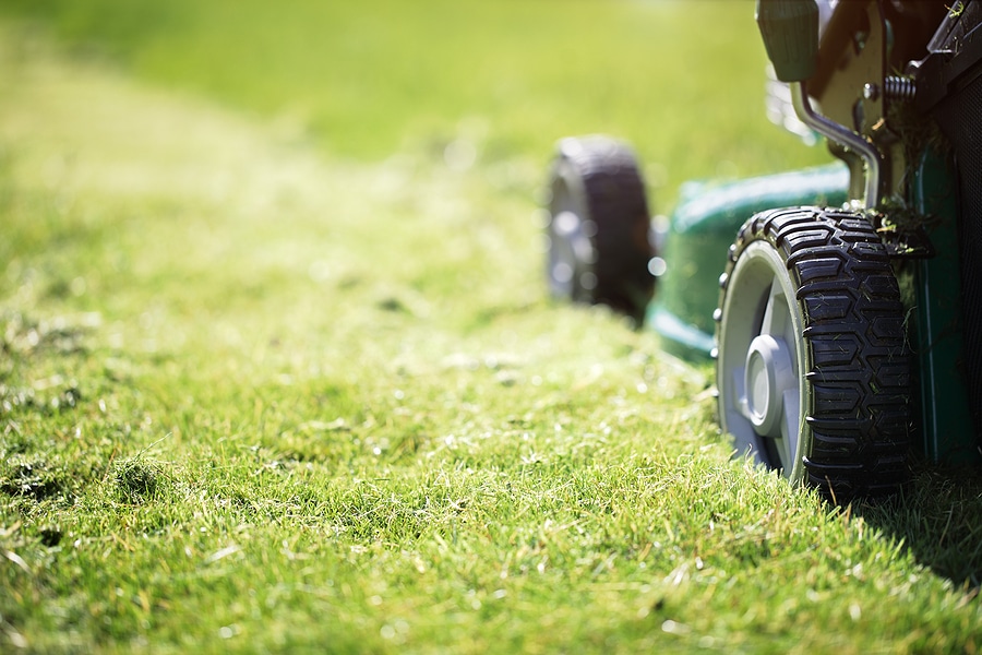 Why Your Lawn Looks Uneven After Mowing