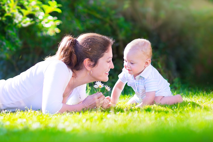 How Lawn Care Changes from Spring to Summer