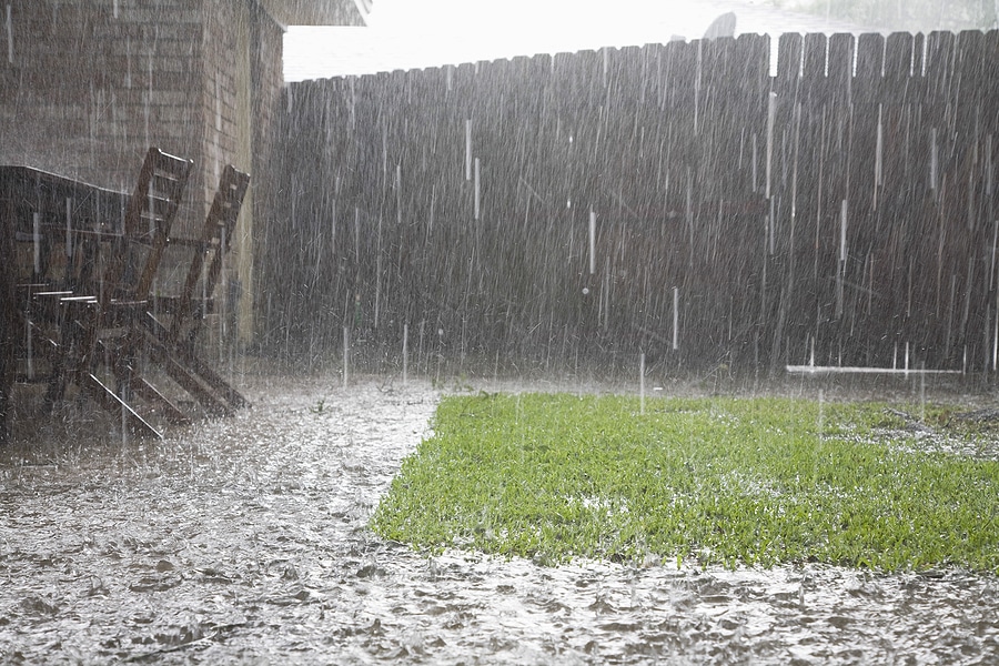 How to Help Your Lawn Recover After Heavy Rain