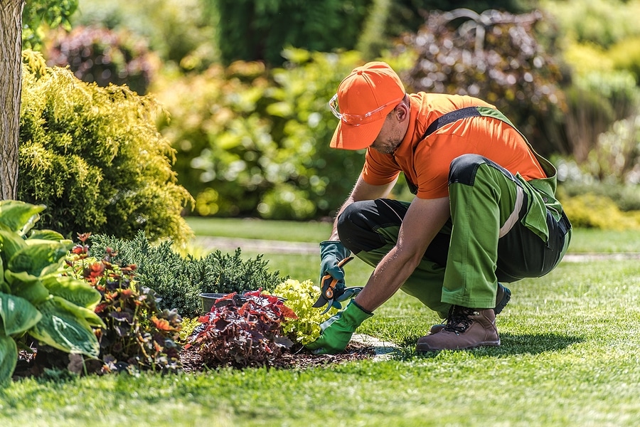 How Fresh Landscaping Can Boost Your Home’s Curb Appeal