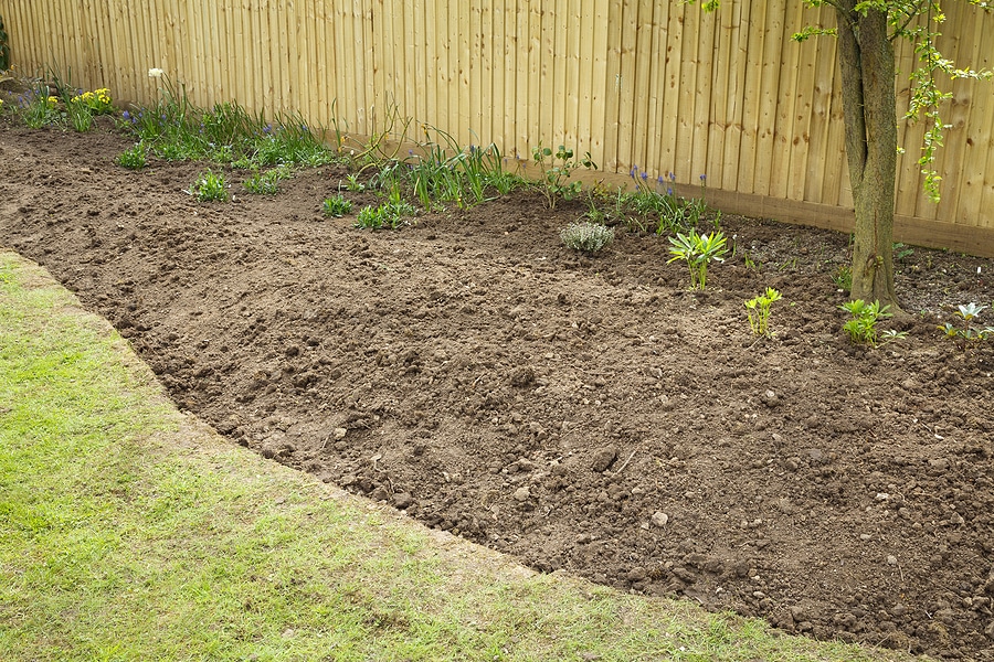 How to Add a New Landscape Bed to Your Yard