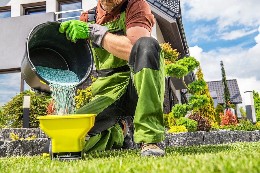 Why Aeration and Overseeding Work Better Together