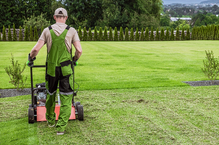 Why Are Some Parts of My Lawn Greener Than Others?