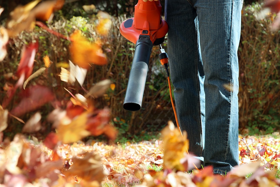 What Should Stay and What Should Go During a Fall Cleanup?